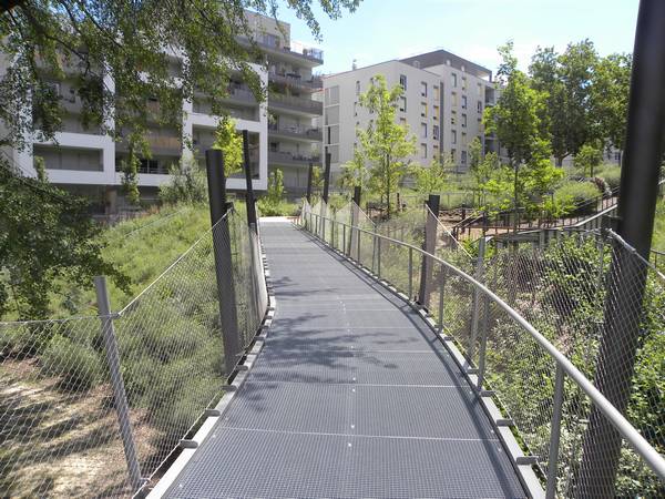 Platform / Pedestrian Walkway