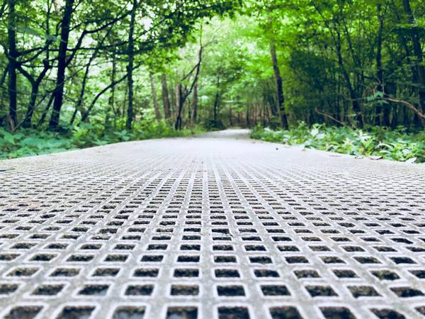Pedestrian pathway in a forest environment with grey polyester grating